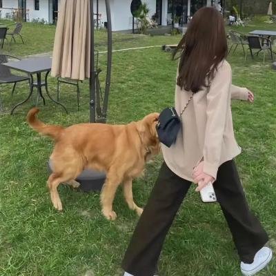 追爱敢死队